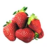 Good quality Calibrated frozen strawberry
