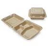 sugar cane/corn starch disposable food container bento box