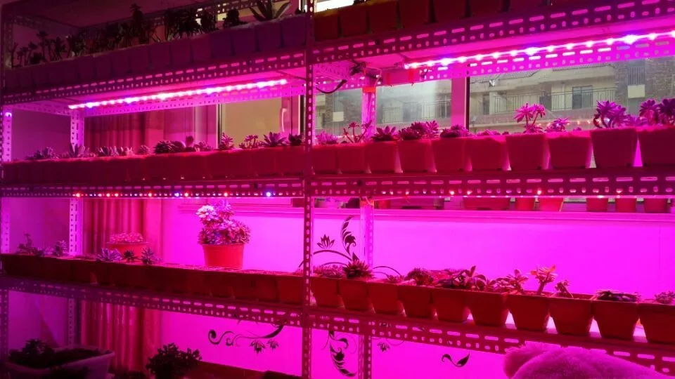 Brandnew Daisychain 20w 4ft Led Tube Grow Light For Microgreens