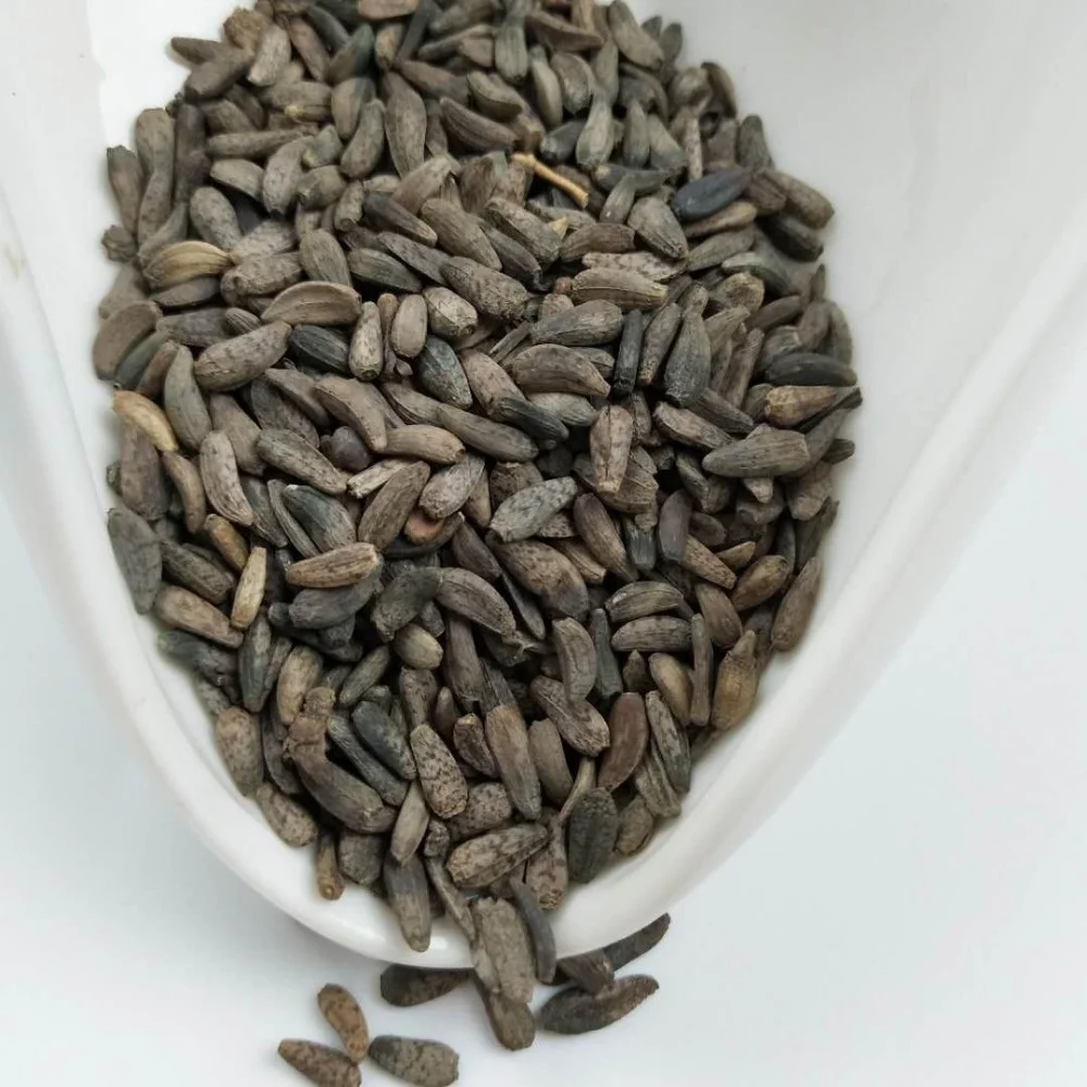 所有行业  医疗保健  草药 药材 牛梆子纯天然甘肃有机牛蒡子 gmp