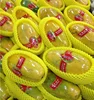 China Gold Supplier New Style High Quality Papaya Packing EPE Foam Sleeve Net
