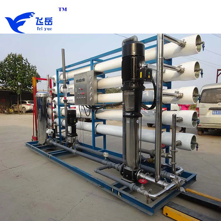 Large Scale 10 T/h Factory Directly Supplier Water Treatment Systems Ro