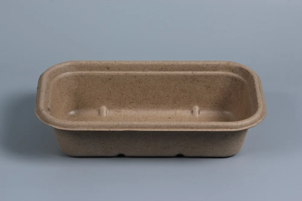 1000ml 2-compartment Biodegradable Disposable Food Container Packaging ...