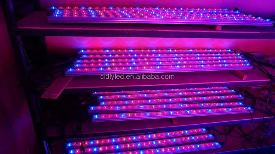 High Ppfd Led Plant Grow Light Strip 55w Growth High Ppfd Led Plant Grow Light Strip 55w Growth Lighting 120cm