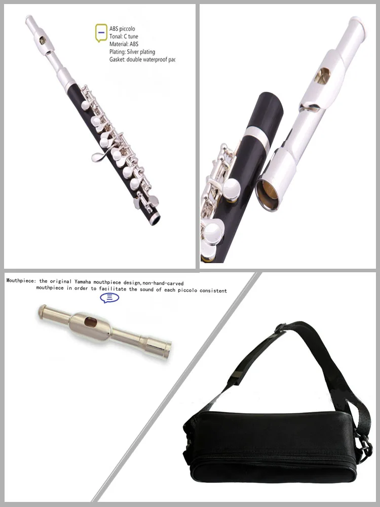 Woodwind Instrument Abs Piccolo Hpl-801 - Buy Abs Piccolo,Woodwind