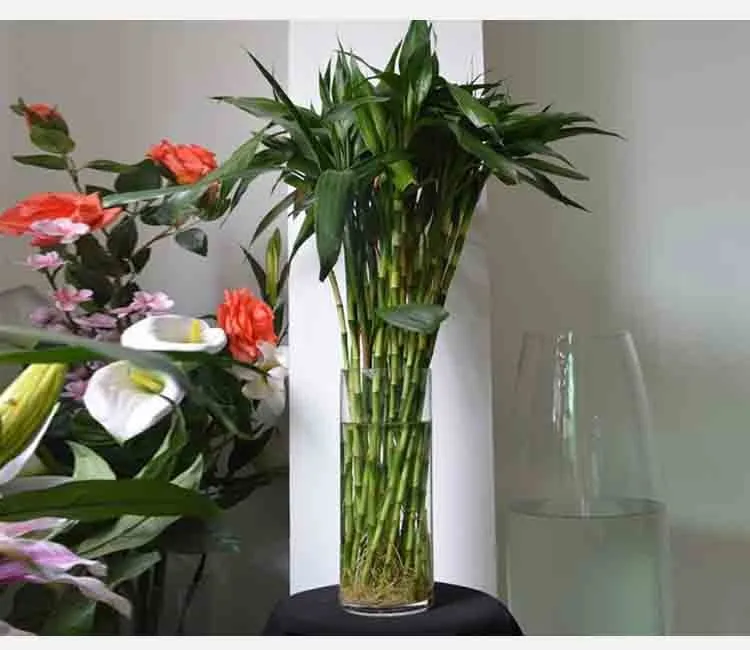 glass vases