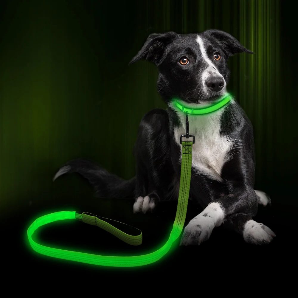 lighted dog leash