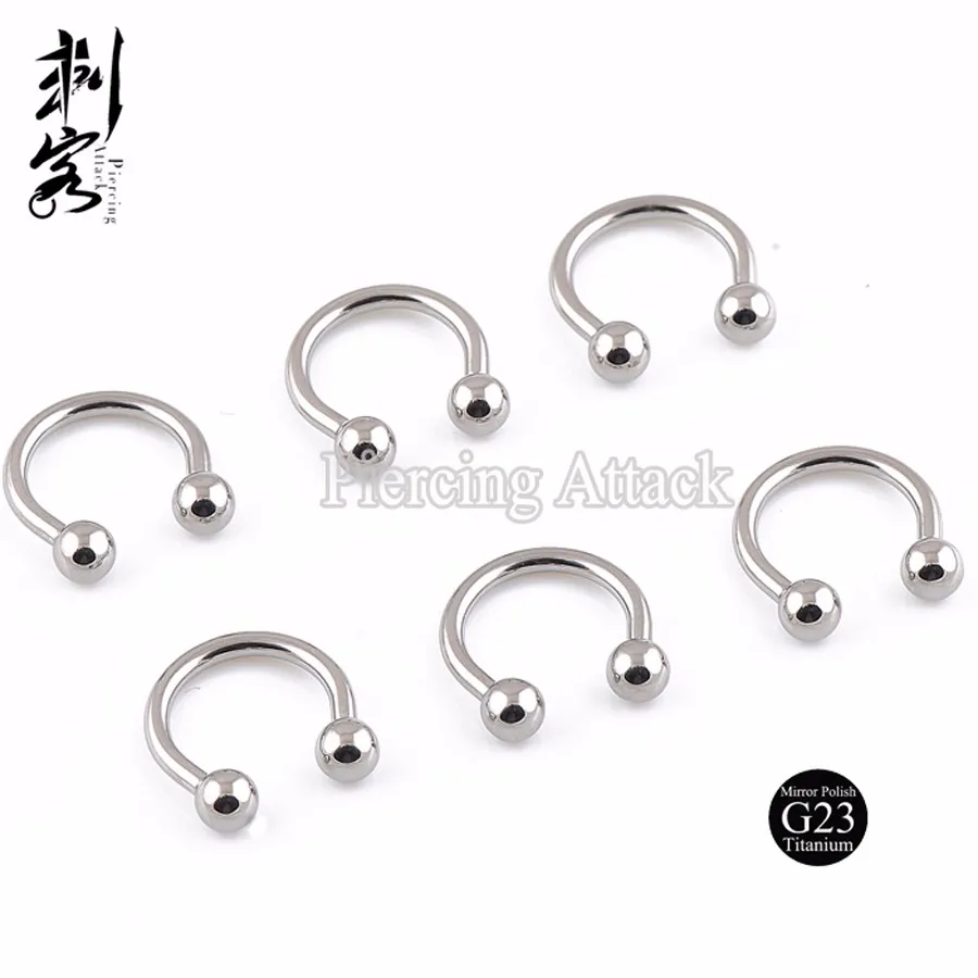 G23 Titanium Internally Threaded Circular Barbell Lip Ring Titanium