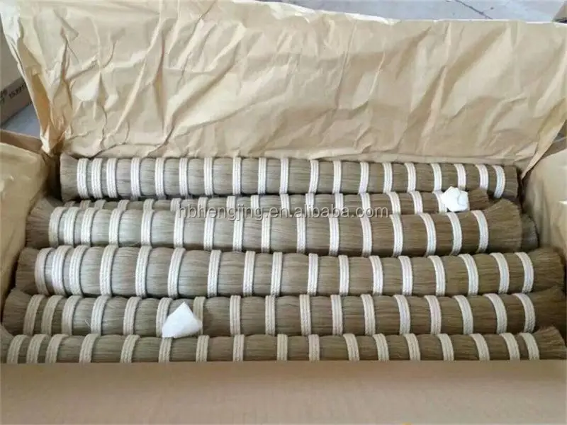 white horse tail hair 1.jpg