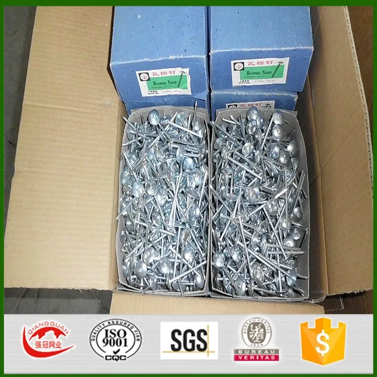Umbrella Nails/ Twist Shank Roofing Nails/philippines 2.5" Roofing