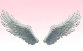 images (4)