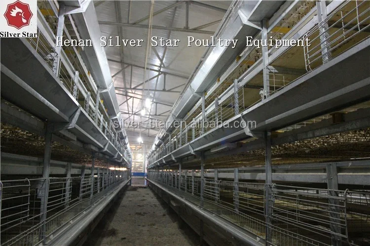 Broiler Poultry Feeding Used Automatic H Type Chicken Broiler Cage