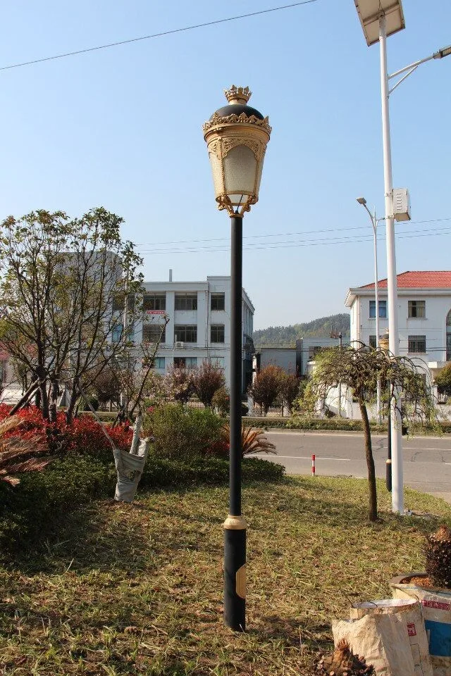 for courtyard sightseeing crown style led yerd light 60w