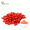 Whole food ingredient Wolfberry Fruit Juice Powder