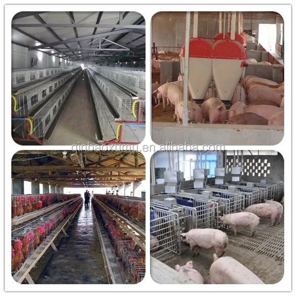 What are sow farrowing crates used for?