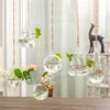 18 Styles Modern Plants Bottle Plant Flower Vase Container Accessories, Clear Hanging Glass Vase Terrarium Hydroponic