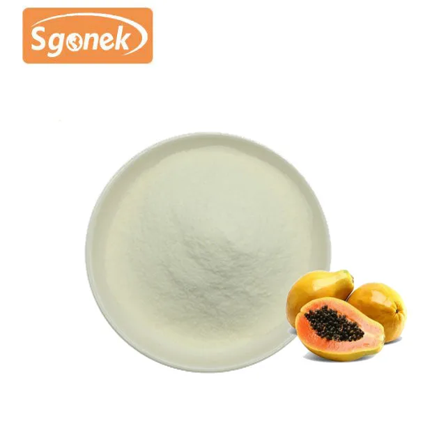 Food Additive Cas 9001734 Papaya Extract Papain Bulk Price Powder Meat Tenderizer Gel Powder