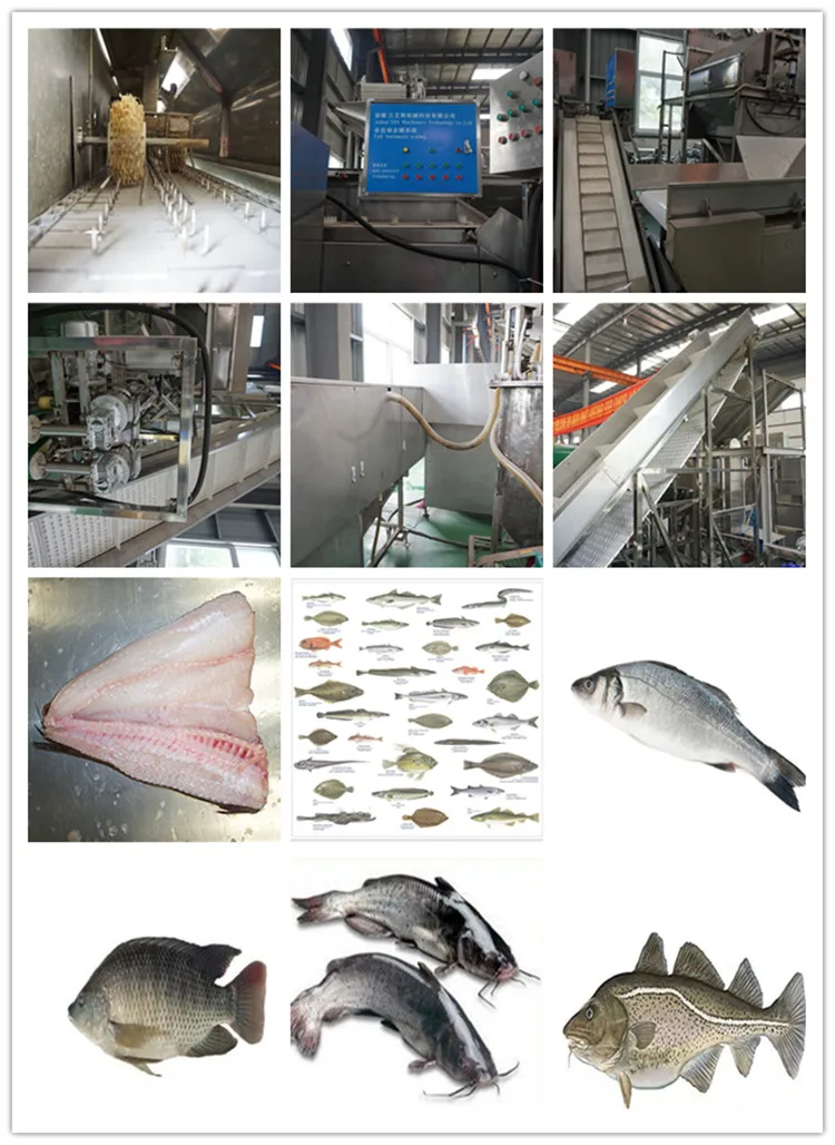 Fish Processing Equipment Buy Fish Processing Equipment,Fish