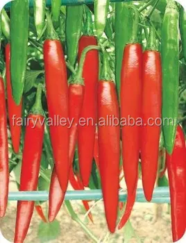 ハイブリッド緑赤唐辛子の種7501 Buy 唐辛子の種 ハイブリッドコショウ種子 唐辛子の種 Product On Alibaba Com