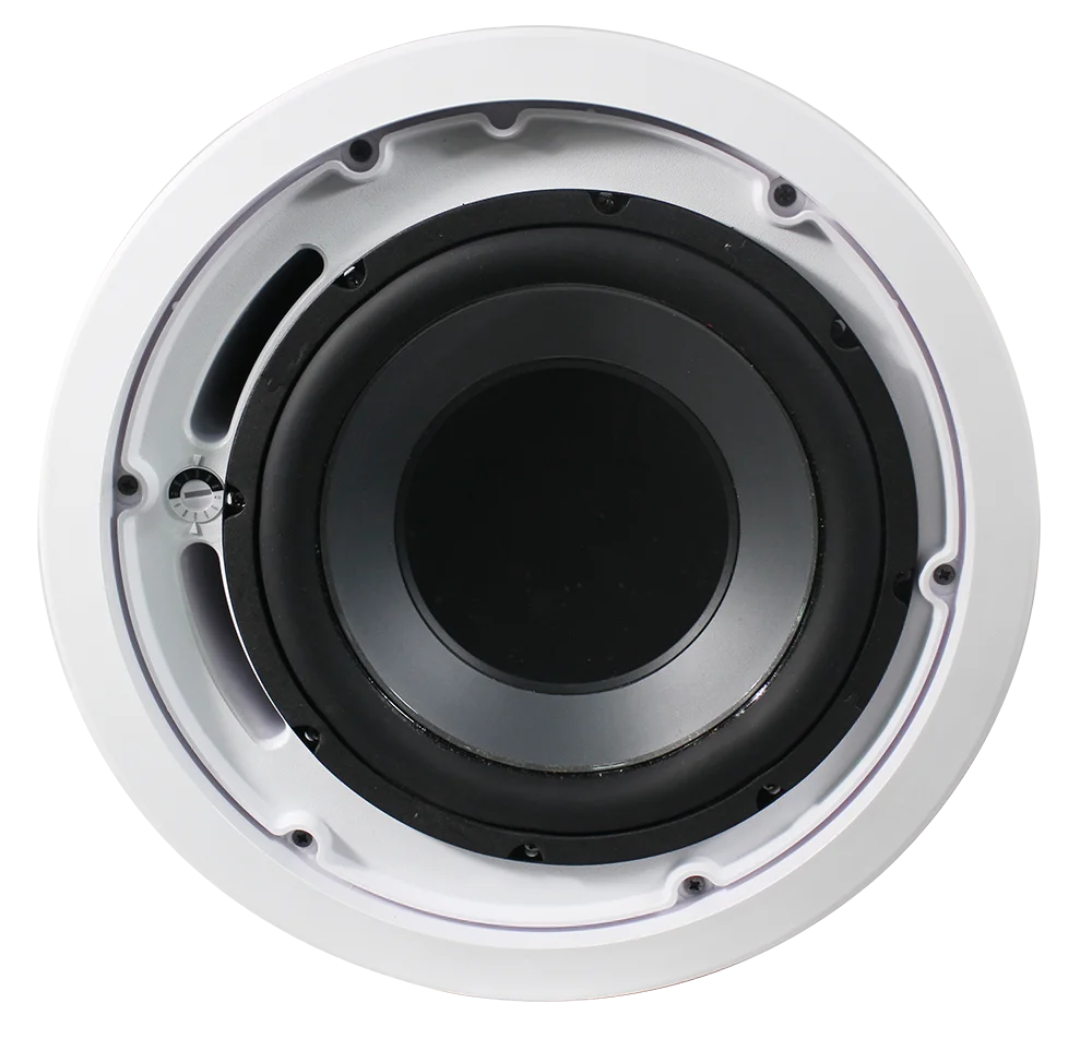 10 Inch Subwoofer Ceiling Sound System Speaker 240/120/60w With Metal