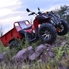 300cc Quad bike 300 EEC (Road/Racing )