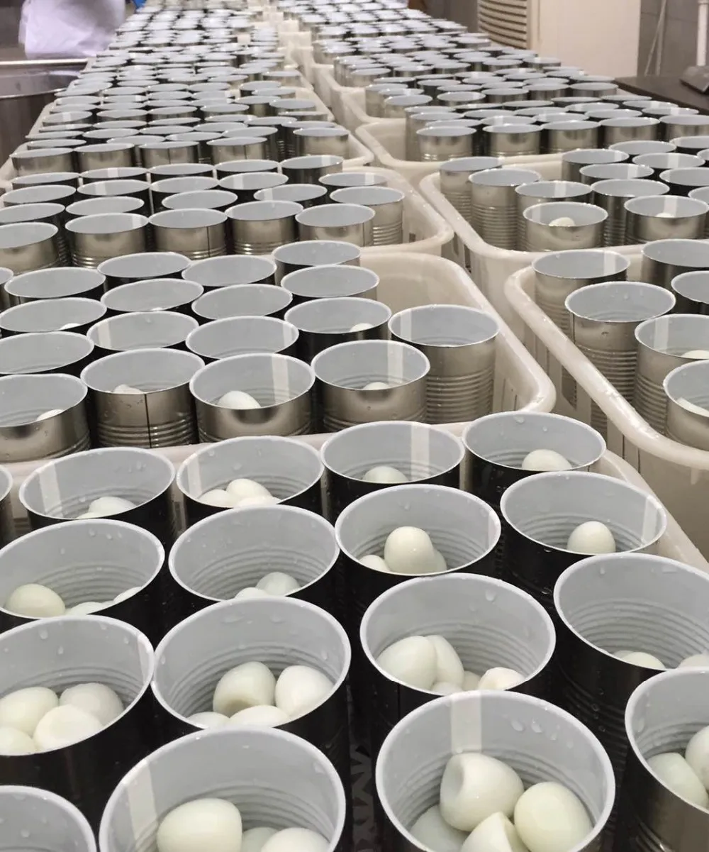 Canned Quail Eggs In Water With Cheap Price - Buy Fresh Quail Eggs