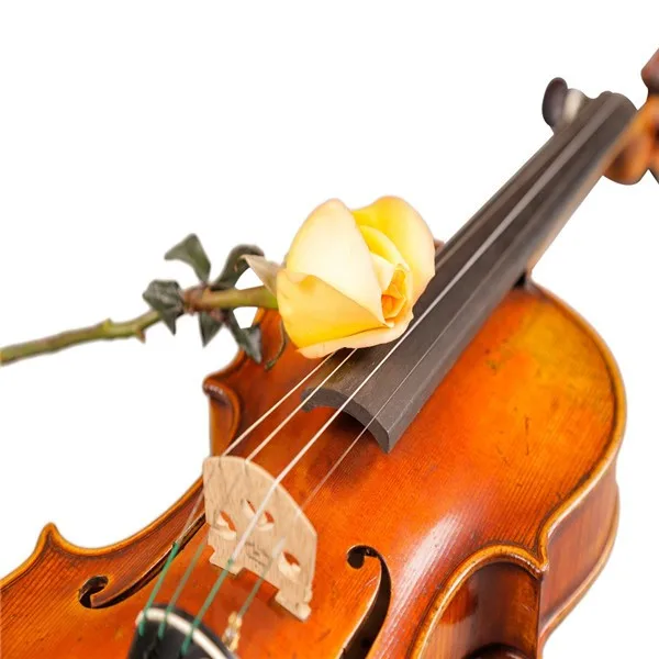 The grade music violin