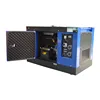 2018 China small no fuel electric generator dynamo