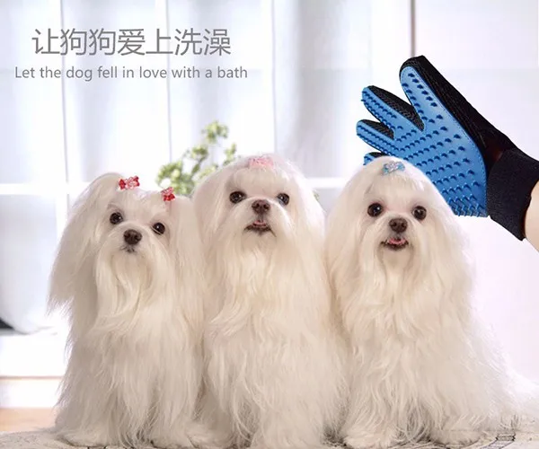 grooming glove-14.jpg