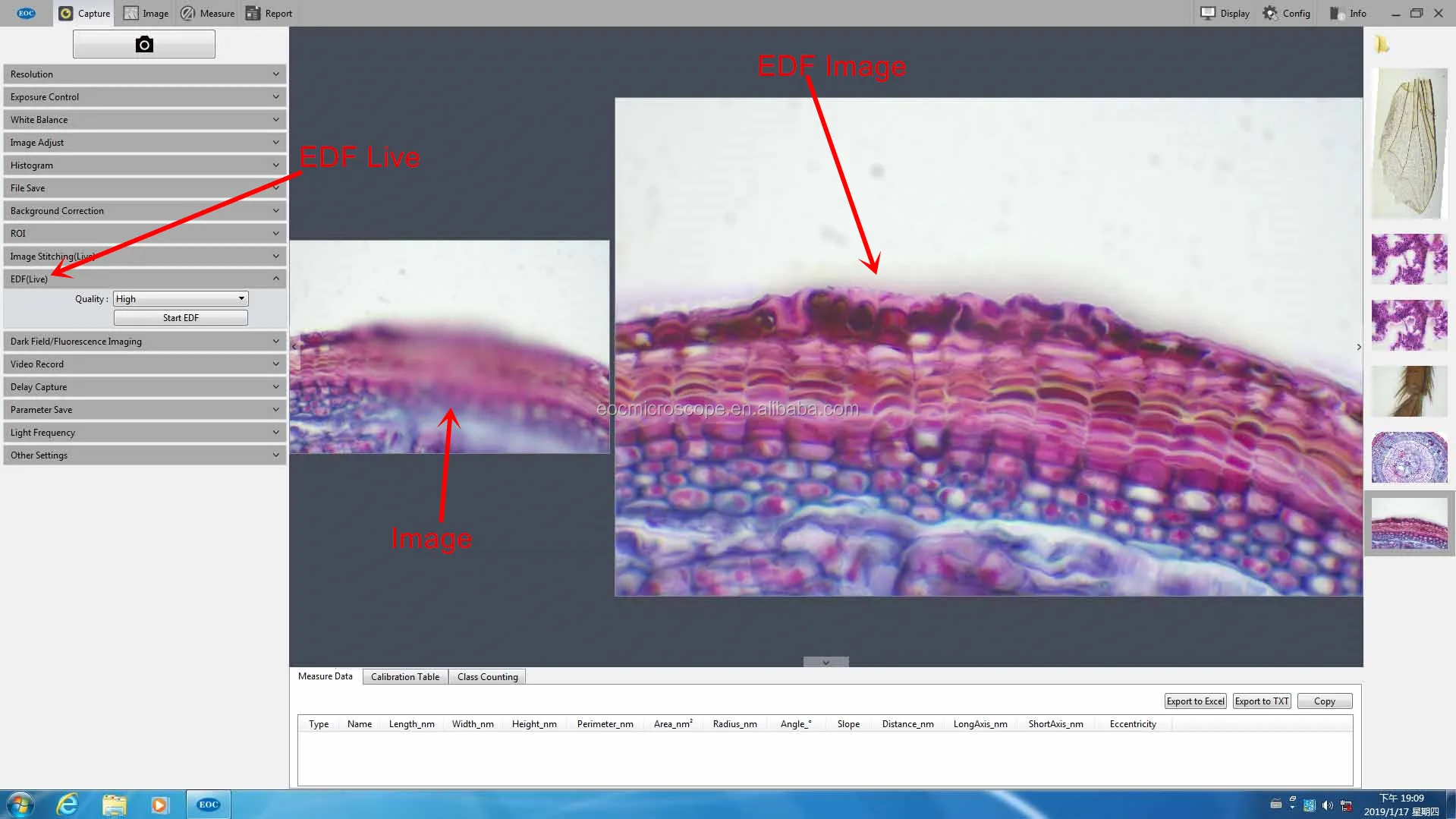 Eoc Biological Microscope Image Stitching Live Edf Camera Pc Control