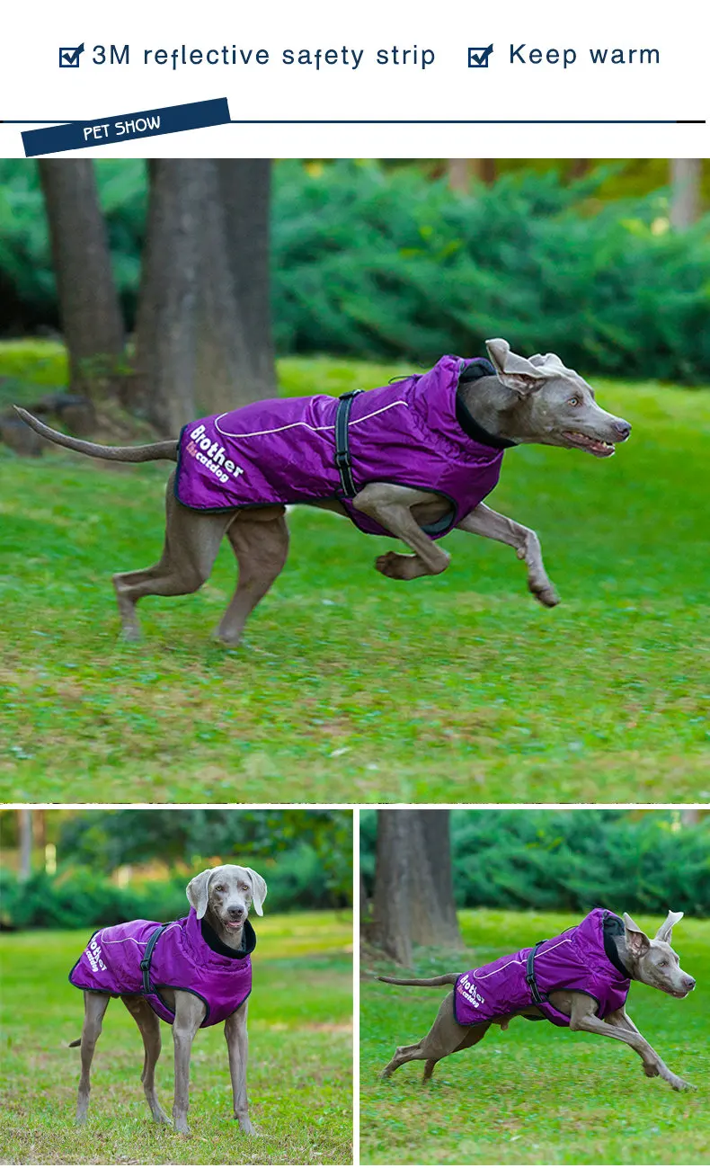 dog clothes for large dogs on High Quality Factory Dog Clothes With Pet Coats For Large Dogs Buy Dog Clothes Pet Coat Dog Jacket Product On Alibaba Com