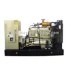 Mini dynamo generator biogas 40