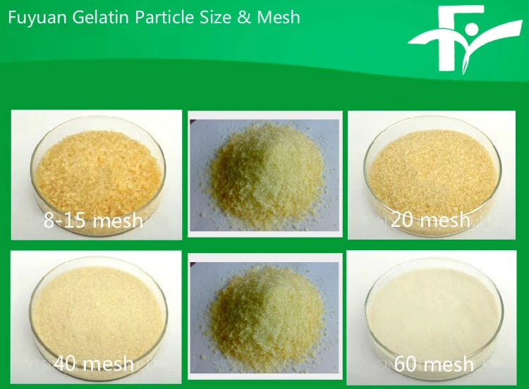 1.Fuyuan Gelatin Particle Size & Mesh