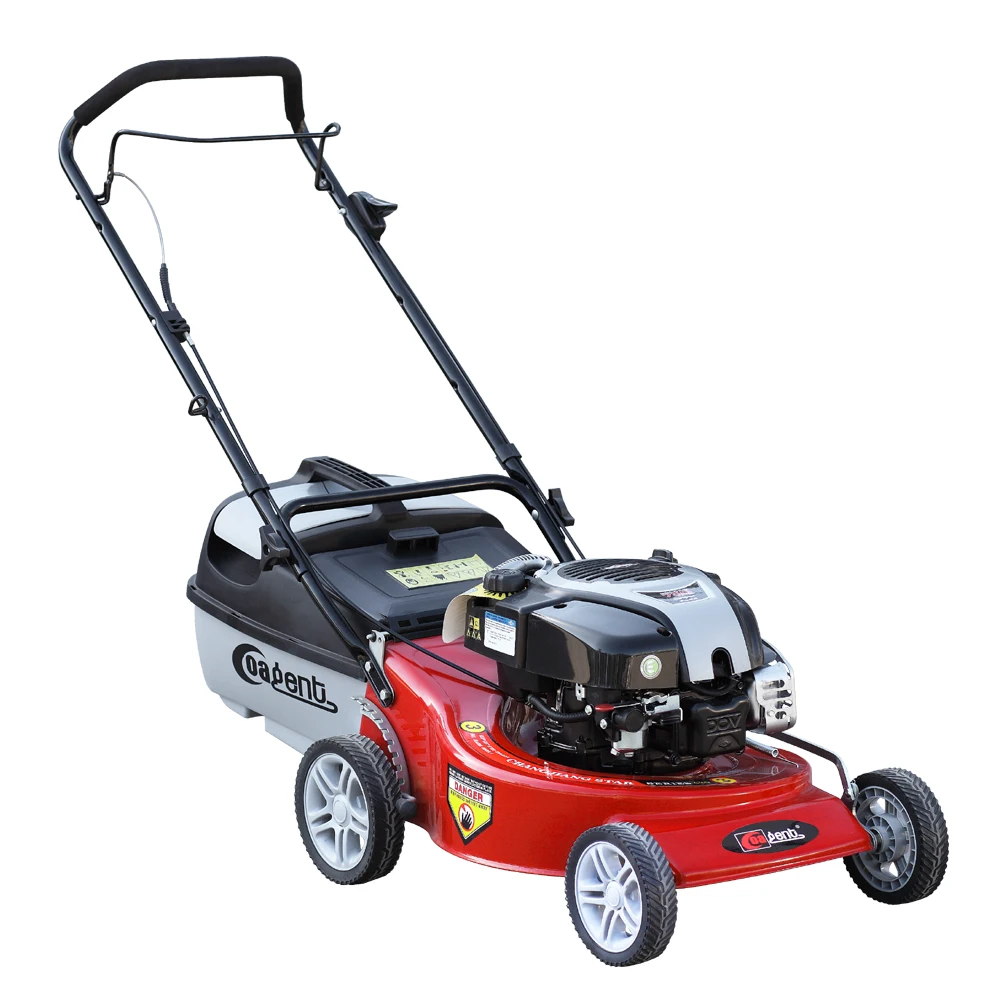 19" Hand Push Lawn Mower,Petrol Mowercj19gtzhb750al Buy Petrol