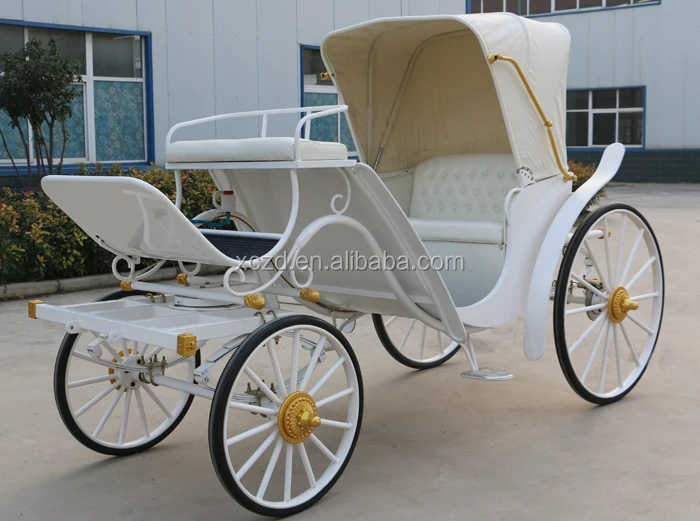 Tourist sightseeing horse carriage Victorian horse carriages .jpg