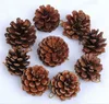 Ready to ship Christmas sales tree decor natural wood pine cone