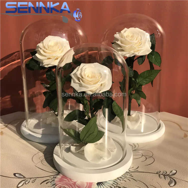 Boda Decorativa Eterno Eterna Y Rosas En Cúpula De Vidrio Con Base Blanca -  Buy Decorativo Y Rosas En La Cúpula De Cristal De La Boda-boda Decoración  Eterno Rosa H28 * D18cm