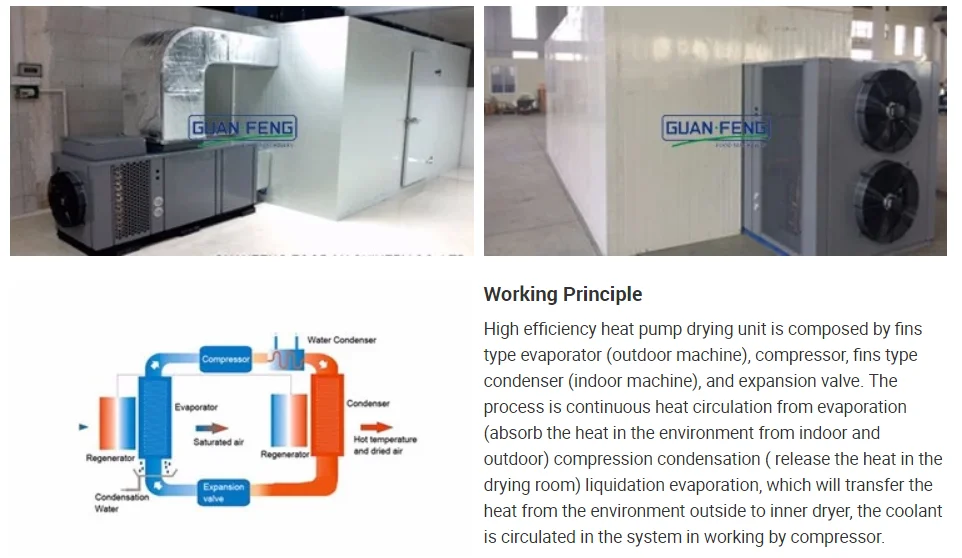 paste-pic-dp_uuid_py0ek