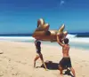 Inflatable Golden giant swan float for pool