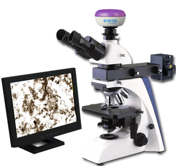digital microscope software windows 10 download