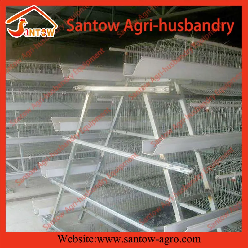 Automatic chicken layer cages hot galvanized poultry cage  price battery laying hen cage for Uganda Nigeria Kenya Africa  (147).jpg
