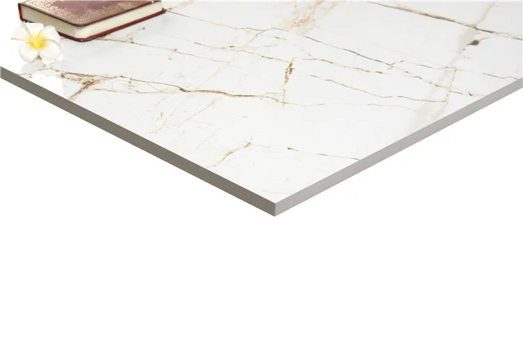 Hasin Popular Floor Tiles Prices In Sri Lanka 600x600mm Porcelain For