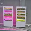 Good Quality Custom Vertical Gardening Plant Indoor Hydroponic Strawberry Growing Systems