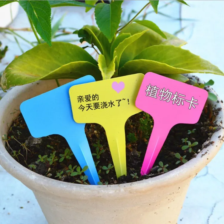500pcs批发6 x 10cm塑料植物t型标签园艺用品苗圃花园标签 