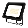 High Lumen Outdoor Waterproof IP66 50 Watt Led Flood Light Raw Material 50 W