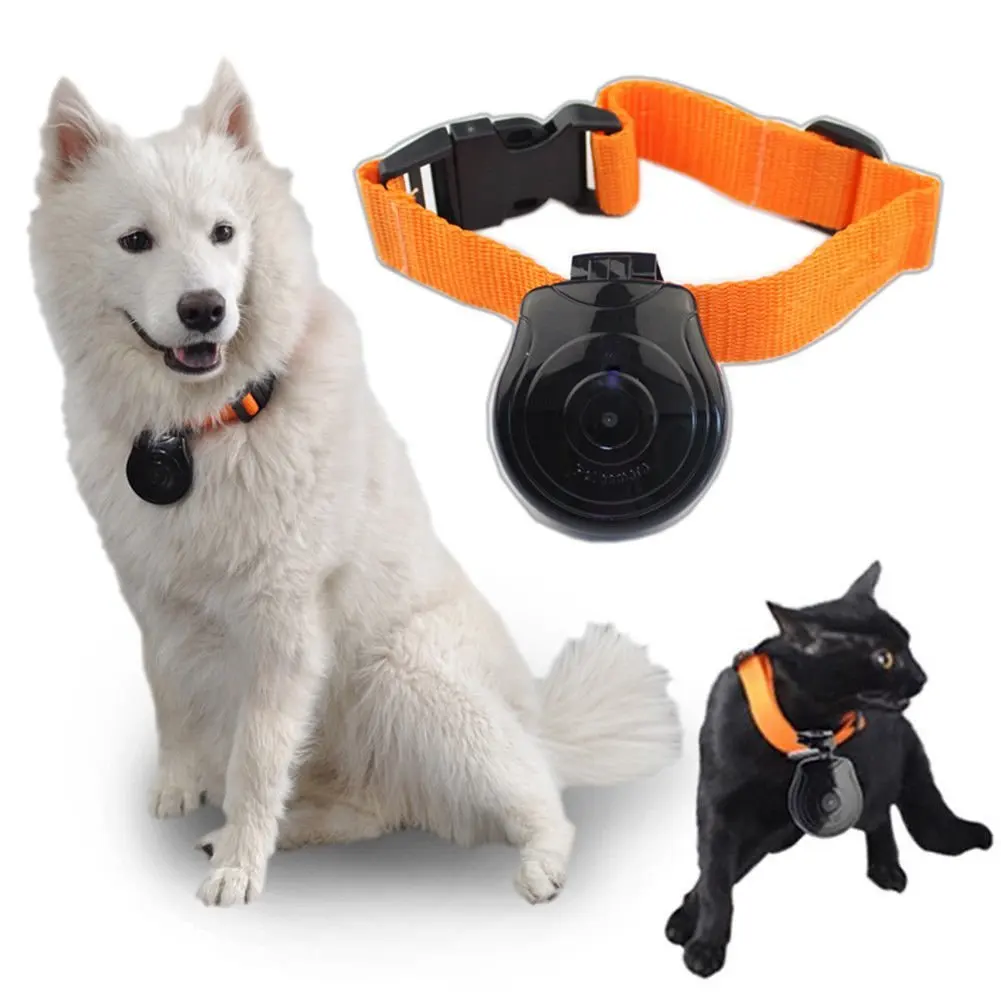 pet spy camera