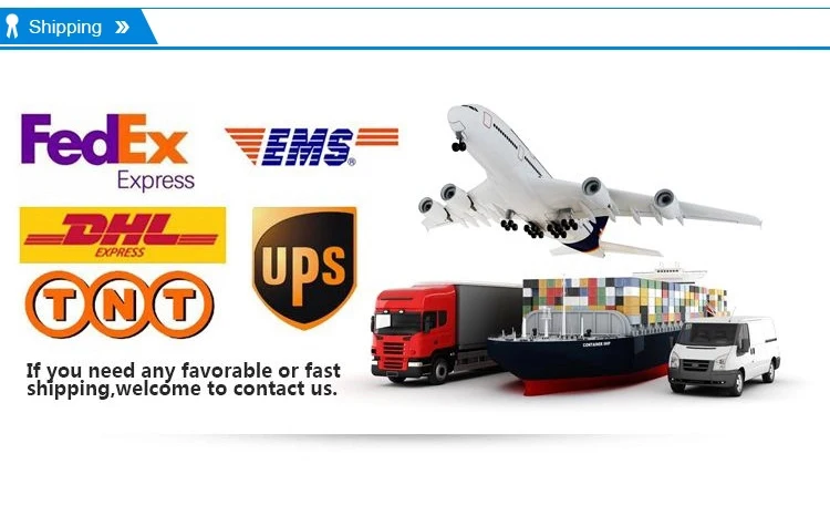 shippment (2)