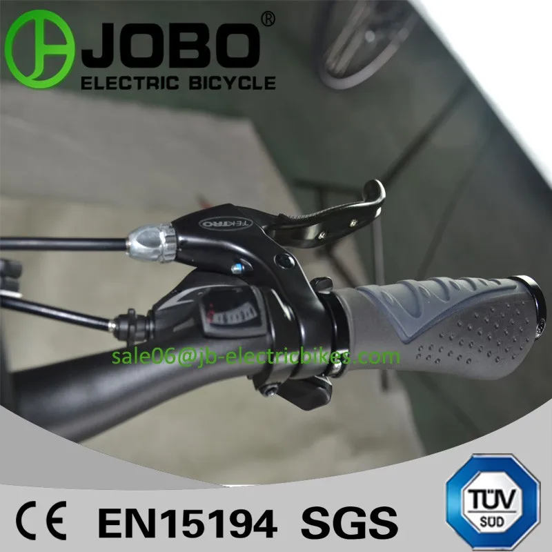 torque sensor bike