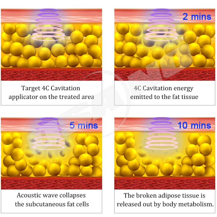 aesthetic clinic equipment