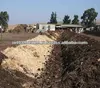 Natural product that allows higher conversion of organic wastes to manure